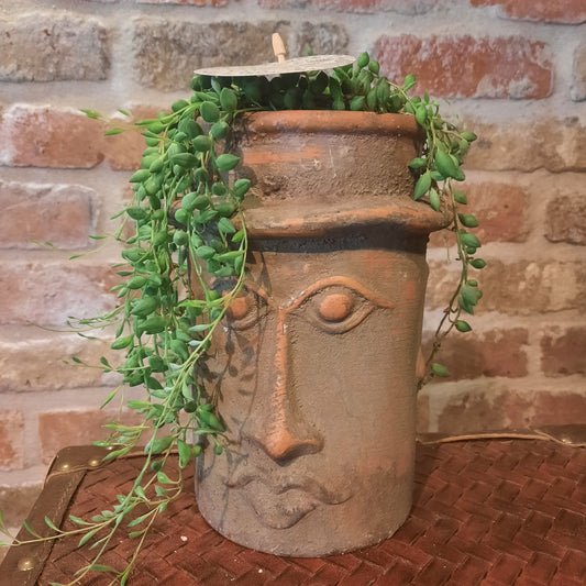 Hangplant in decoratieve pot